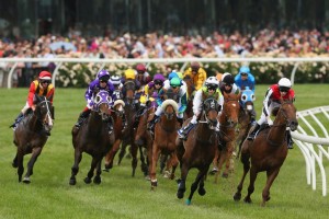melbourne cup_horses corner